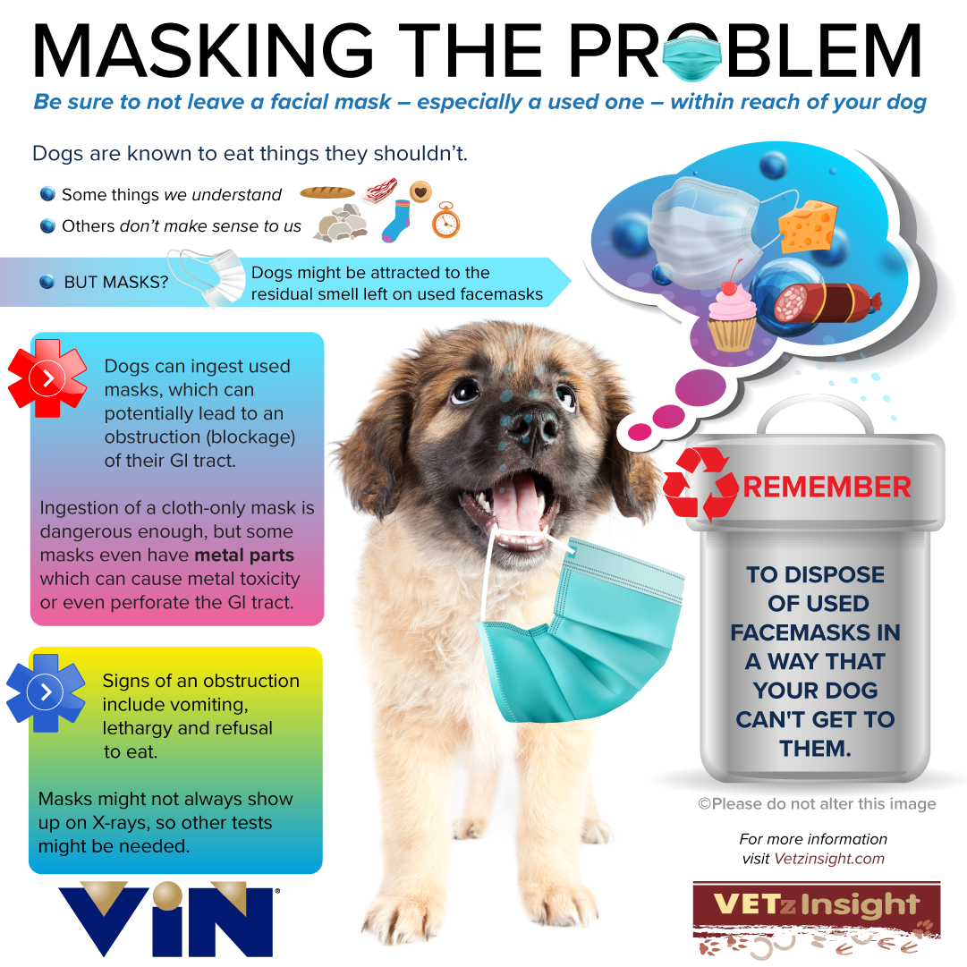 Masking the Problem Infographic