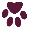 purplepaw